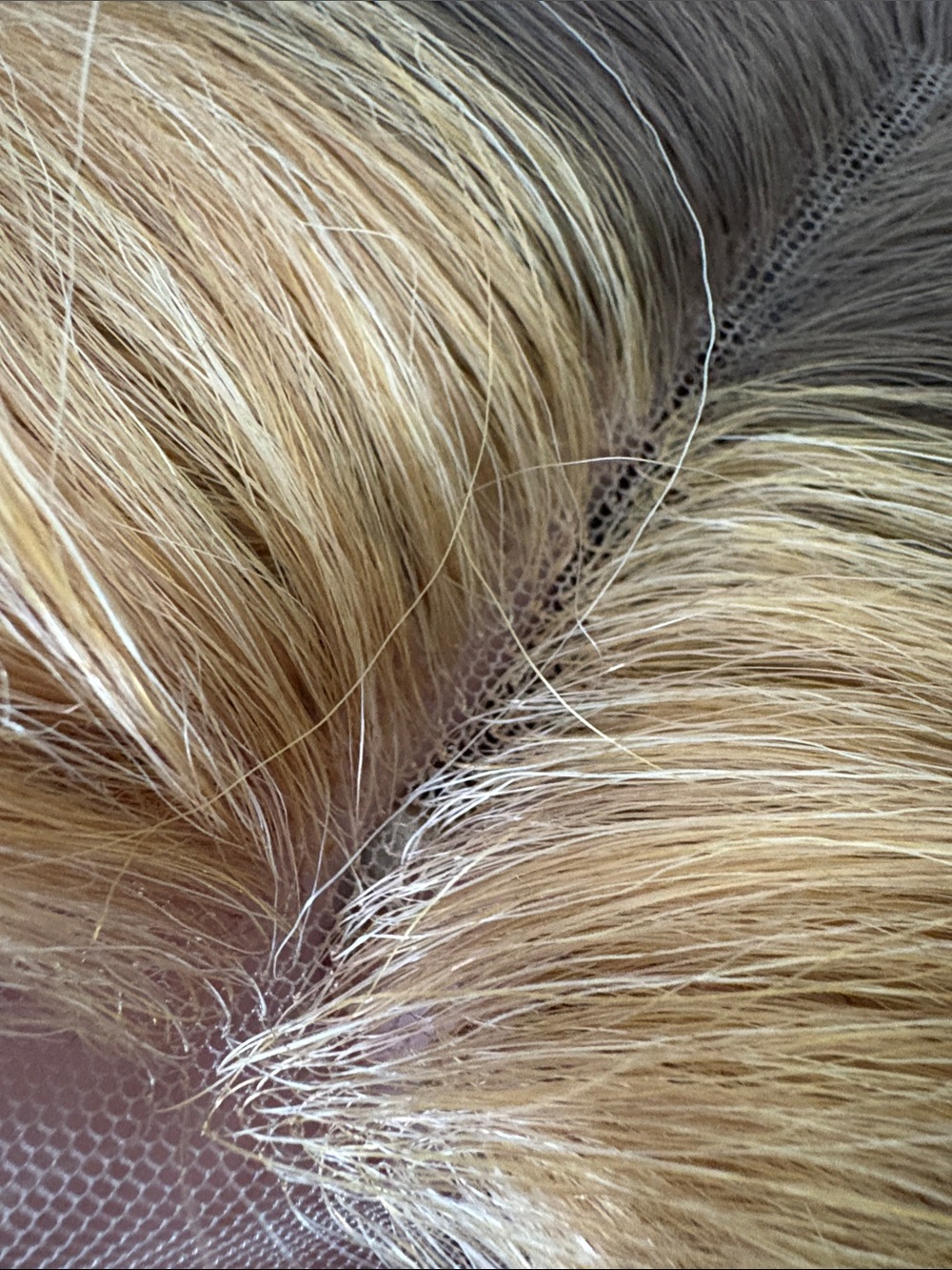 Blonde/Brown Lace Front Wig - Natural Honey Blonde - Picture 10 of 13